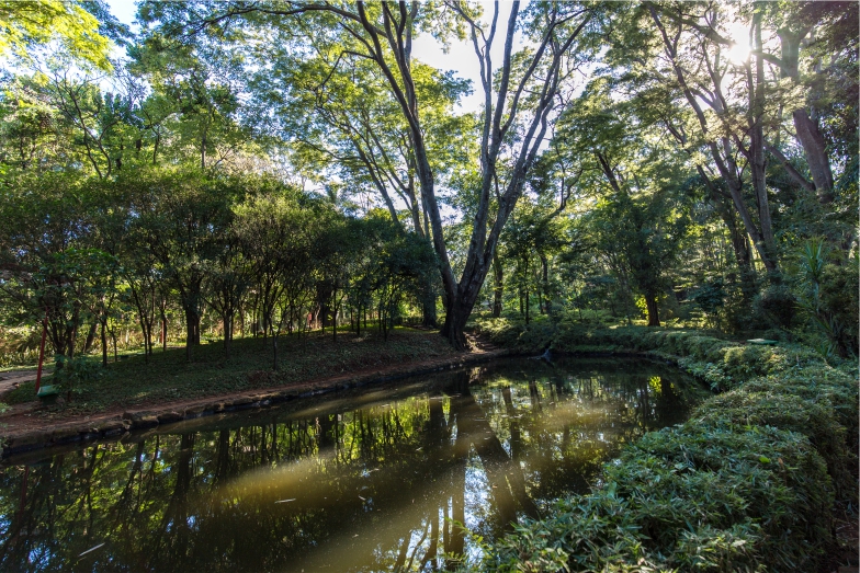 ribeirão preto - 01